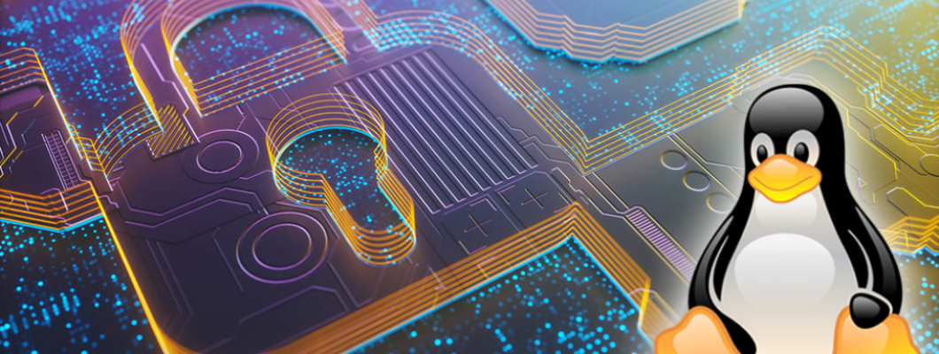 Secure Linux Environments for Web Apps: SSH, Firewalls & Hardening