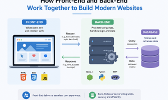 How Front-End and Back-End Work Together to Build Modern Websites